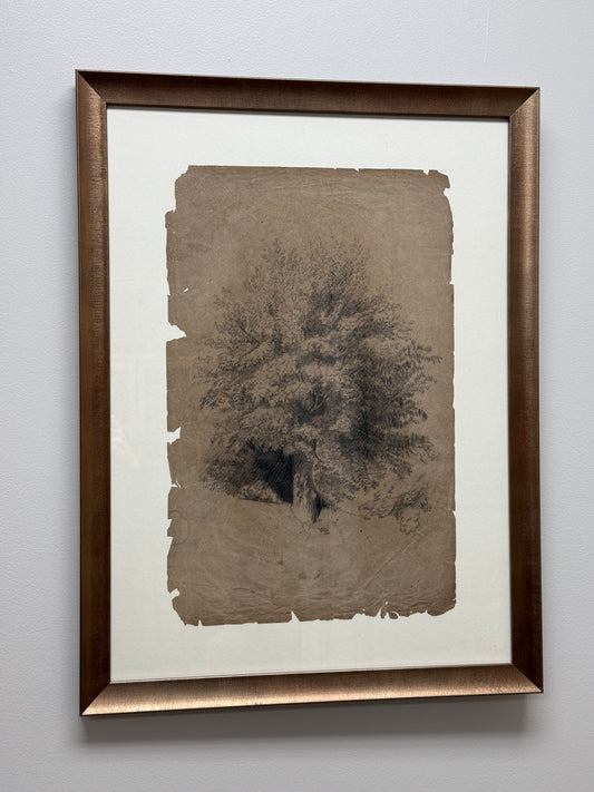 Antique Framed Sketch, Tattered Tree