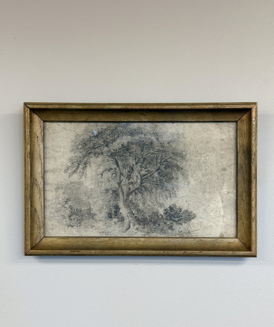 Antique Framed Sketch, Grand Tree