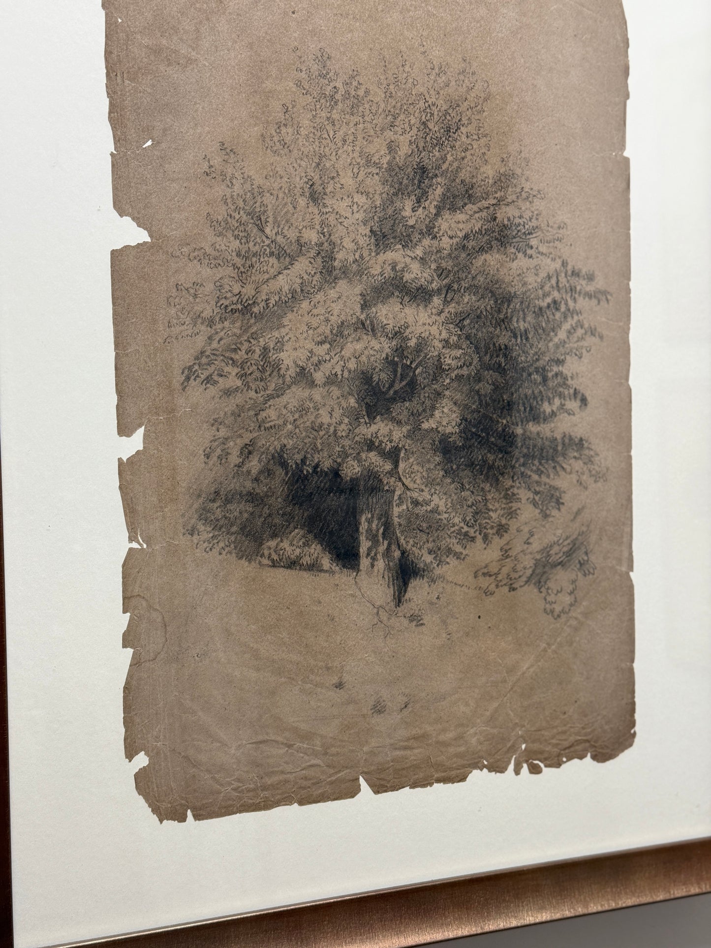 Antique Framed Sketch, Tattered Tree