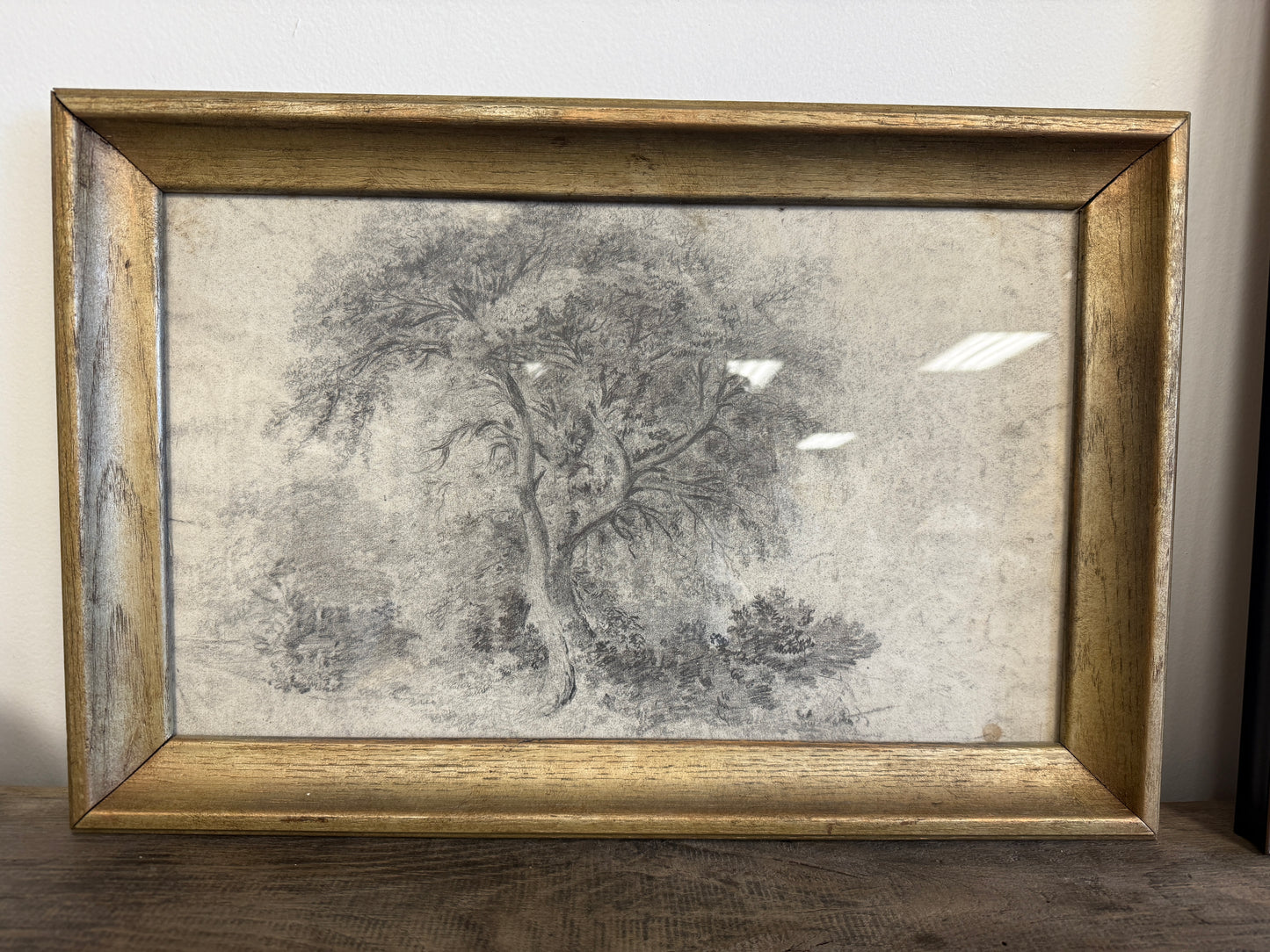 Antique Framed Sketch, Grand Tree